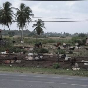 Meet your Posher, Adr